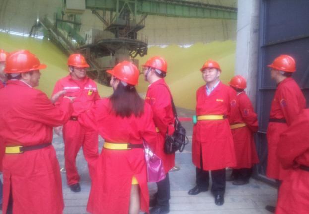 (楊清院長一行參觀硫磺生產(chǎn)車間)